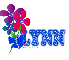 Lynn - Flowers 