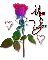 A Rose to Say