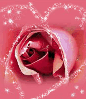 Rose Heart - background
