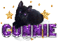 Connie-Cute Cat Purple
