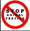 Stop Animal Testing!!