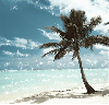 Beach - Background