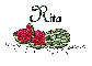 Summer Watermelon - Rita