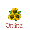 Online Sunflowers