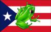 Puerto Rican Flag & Coqui