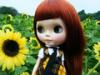 Doll in a meadow