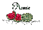 Summer watermelon - Annie