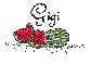 Summer watermelon - Gigi