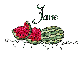 Summer watermelon - Jane