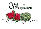 Summer watermelon - Makani