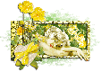 Yellow Flowers~Hello