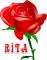 Red Rose- Rita