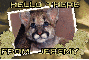 HELLO THERE - FROM JEREMY