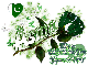Asma-Pakistan Rose