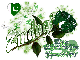 Zindagi-Pakistan Independence Rose