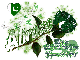 Aliraza-Pakistan Independence Rose