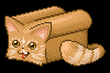 Bread cat