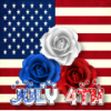 July 4th Roses-Avi