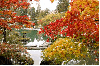 Autumn / Fall - background