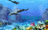 Background - dolphins - 