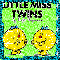 Little miss twins
