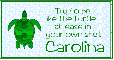 At Ease Turtle - Carolina