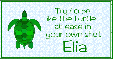 At Ease Turtle - Elia