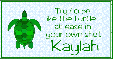 At Ease Turtle - Kaylah