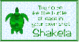 At Ease Turtle - Shakela