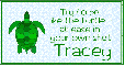 At Ease Turtle - Tracey