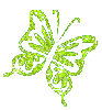 Green butterfly - nwofr