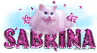 Sabrina-Pink dots Cat