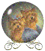 Two dogs globe