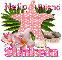 Pink Starfish- Shakela