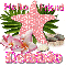 Pink Starfish- Robbie