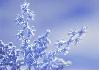 Snowflake - background - win
