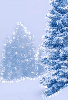Snowy Tree - background - win