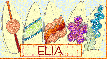Surfboards - Elia