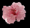 Pixel flower
