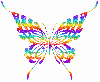 Colorful Butterfly
