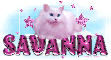 Savanna-Pink dots cat
