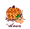 Autumn Pumpkin - Anna