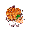 Autumn Pumpkin - Ari