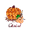 Autumn Pumpkin - Chrissi