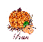 Autumn Pumpkin - Fran