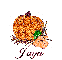 Autumn Pumpkin - Jaya