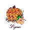 Autumn Pumpkin - Lynn