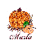 Autumn Pumpkin - Marla