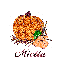 Autumn Pumpkin - Mietta