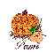 Autumn Pumpkin - Pami
